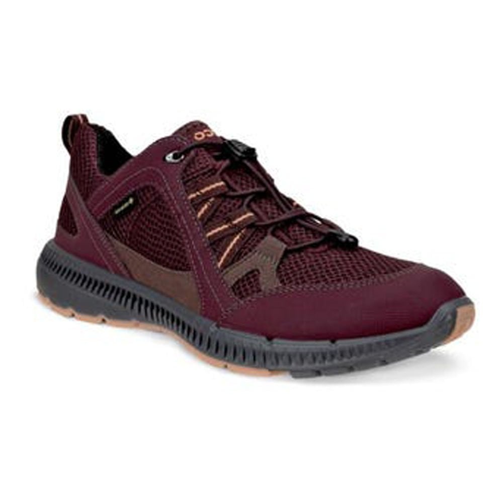 Terracruise Waterproof Shoe